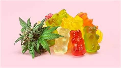 how-do-cbd-gummies-affect-the-body-a-comprehensive-guide-ubbfghbjw49xj.png