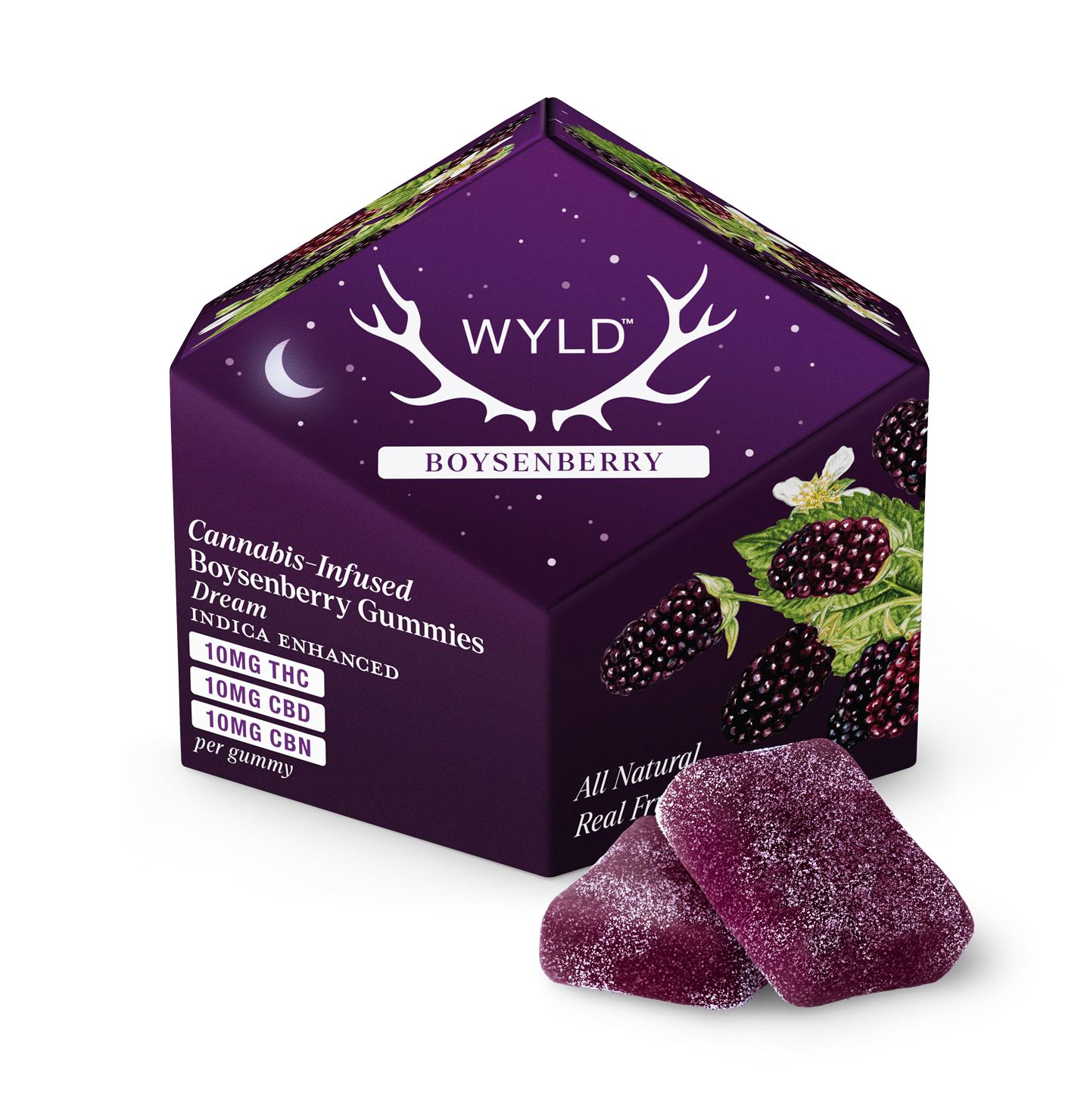 Wyld-10ct_Box-US_Fruit-Boysenberry-Gummies-Shadow.png