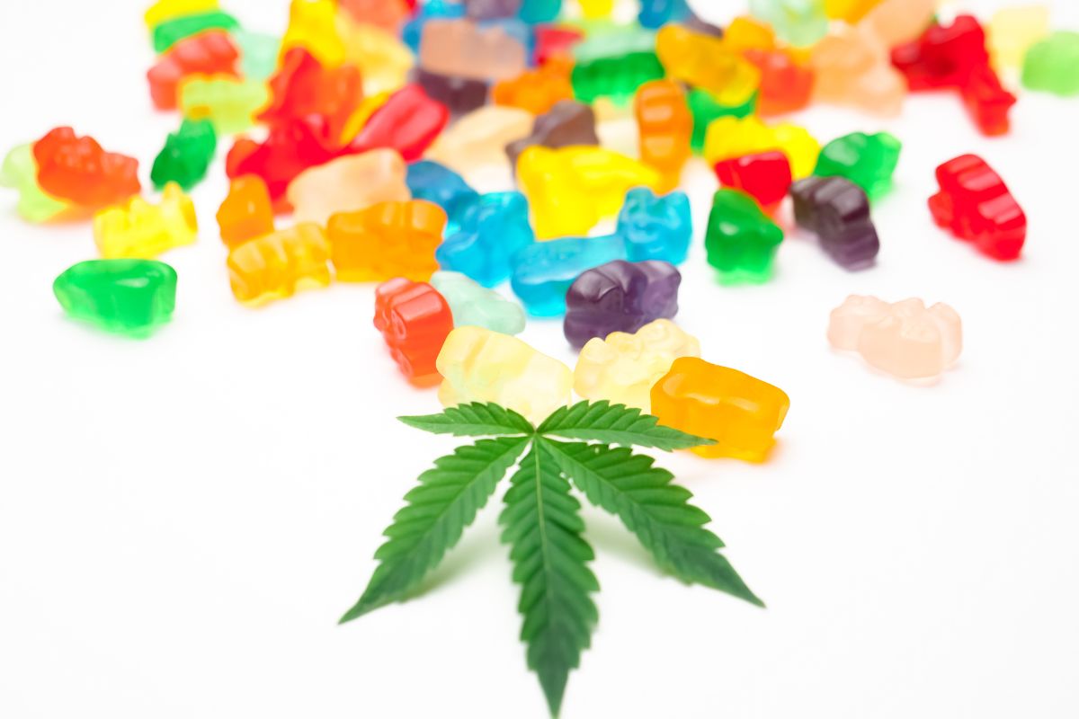 WYLD-Gummies-Review.jpg